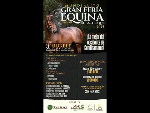 MUNDIALITO VIVE SUBACHOQUE 2025 - GRADO B - DIA 2