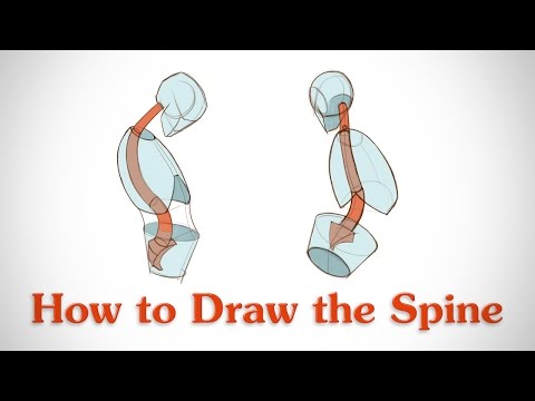背骨の描き方-アーティストのための人体解剖学 (How to Draw the Spine - Human Anatomy for Artists)