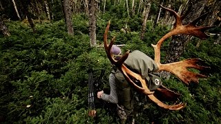 Crawling Up to a Woodland Caribou with a Bow