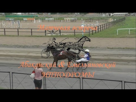 Матчевая встреча Абакан-Емельяново. 29.07.2017. Заезд - Лошади 3-х лет призовых пород, 1600 м.