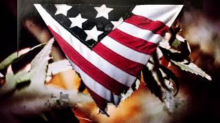 04. Cursed Diamond - The Black Crows - 432Hz  HQ