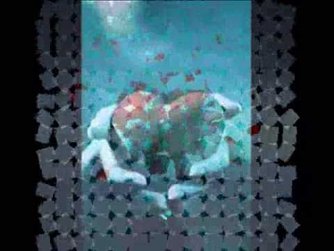 Broken Things - Ryan Kelly