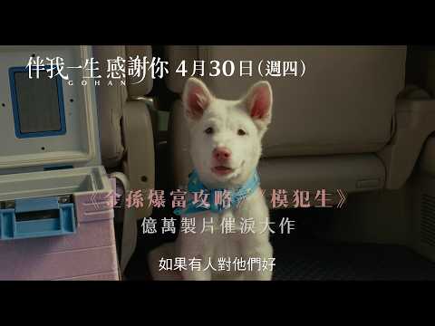 《伴我一生，感謝你》預告片：官方預告