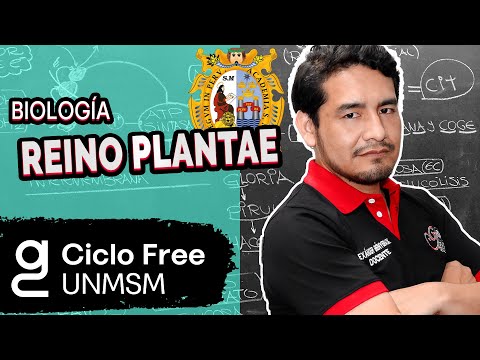 BIOLOGÍA - Reino plantae | Parte 1 [CICLO FREE]