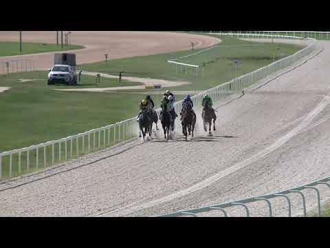 2019.08.11. 04. futam - BARACSKAI HENDIKEP (IV.o.) (szintetikus pálya)