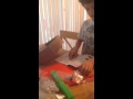 Unboxing Groovy Lab In A Box Shake It Up