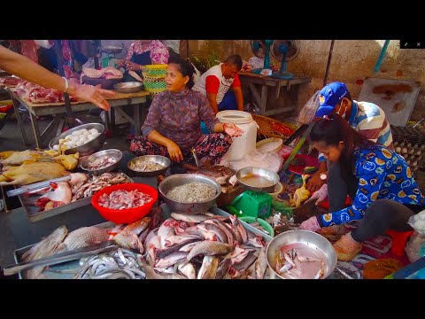 Market Food Show In Phnom Penh - Natural Living In Our Village Food