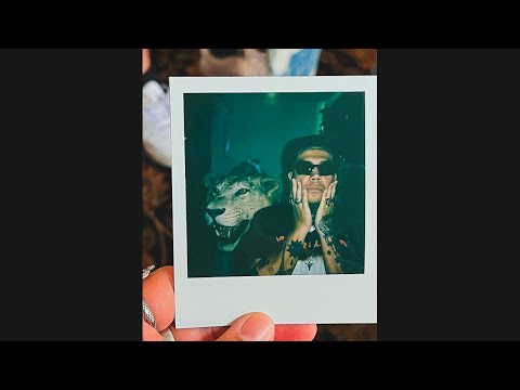 [FREE] Go Golden Junk Type Beat 2023 | "BAD BXTCH"