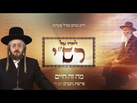 לאורו של רש"י - יום ה' פרשת ניצבים