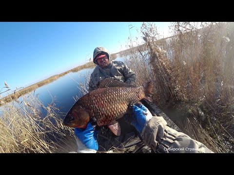 Сибирский Странник Рыбалка Видео Новое 2022 Год Сибирский Странник Рыбалка Видео Новое 2022 Год