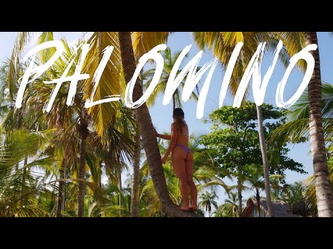 Exploring Colombia's Secret Wonderland - PALOMINO Travel Guide