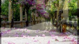 Parque Infante D. Pedro - Aveiro  Fotografia Regina Bentes