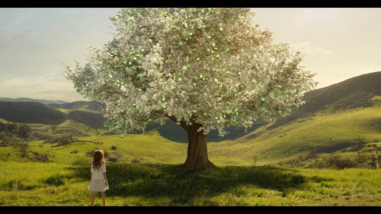 2017 Central Bank 15sec. Branding Commercial