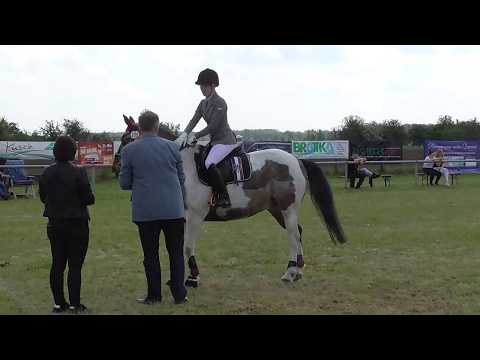 Stilspringprüfung A* Sieg WN 8,3 Miesterhorst 2017