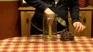 preview picture of video 'Primitive Country Decorating Ideas -Country Canning Jar Idea'