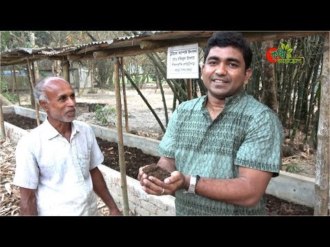 ট্রাইকো কম্পোস্ট (Trichocompost): ২ হাজার টাকা খরচে ২০ হাজার টাকার সার