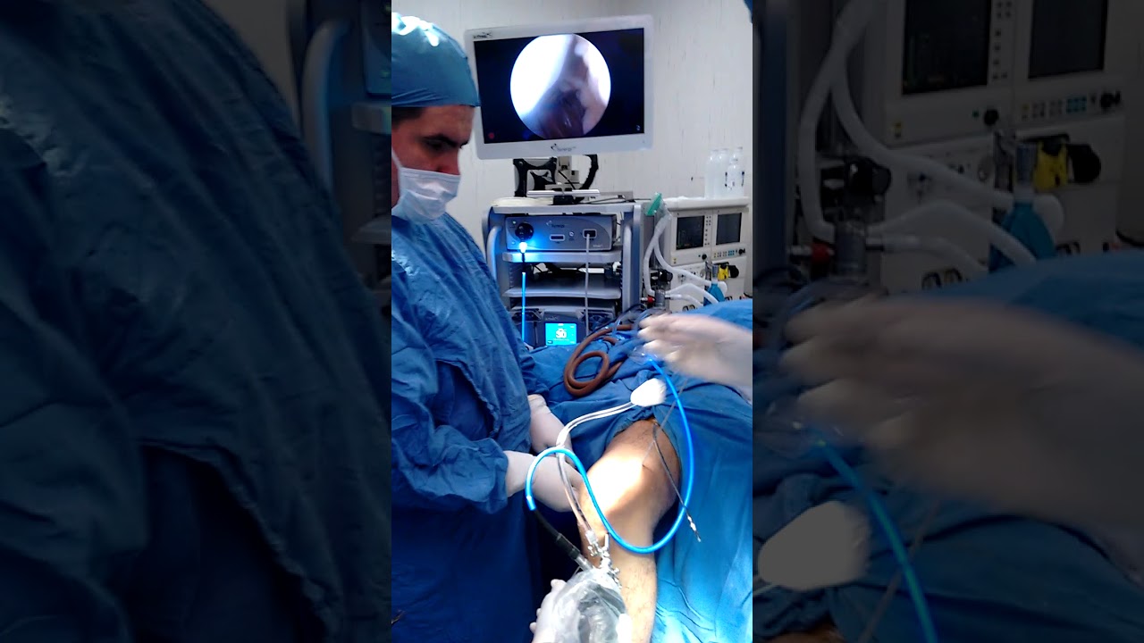 Gerardo Segundo Primero-22