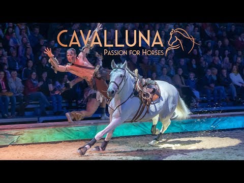 Cavalluna - erste Eindrücke der neuen Pferdeshow CAVALLUNA "Welt der Fantasie"