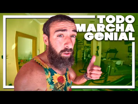 Todo SEGUN EL PLAN, seguimos 🏃…