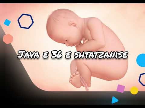 Java e 36 e Shtatzanise. Cfare pritet te ndodhe gjate kesaj jave?