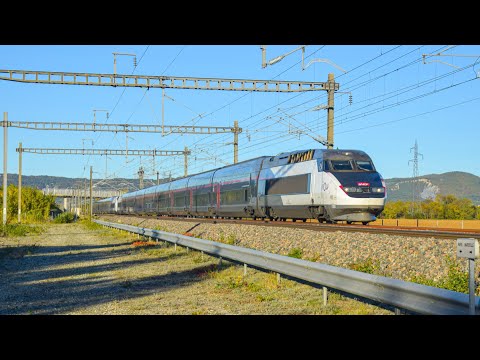 Compilation de TGV sur la lgv méditerranée