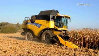 preview picture of video 'Loonwerk Peltijn Agri - New Holland CX 780 - mais dorsen'