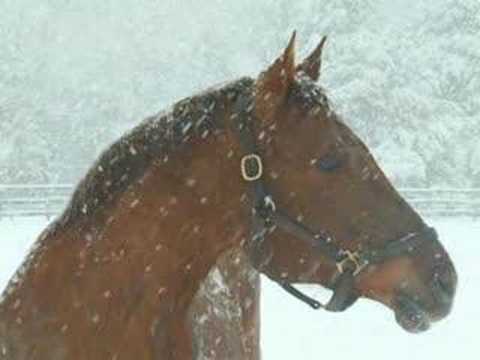 The Blizzard - Jim Reeves - Tall Tales Short Tempers