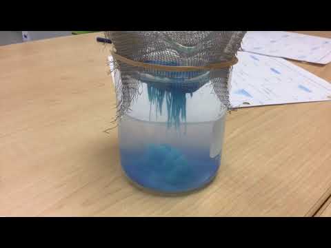 Stalactite and Stalagmite Formation Time Lapse