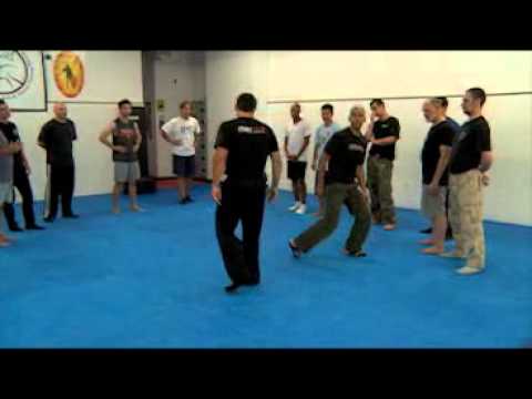 Systema Fight Club Summer Seminar