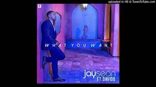 Jaysean Ft. Davido - What you want (Official Audio)