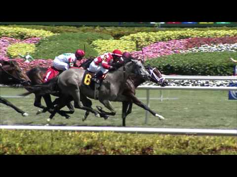 Gulfstream Park Replay Show | March 19, 2017