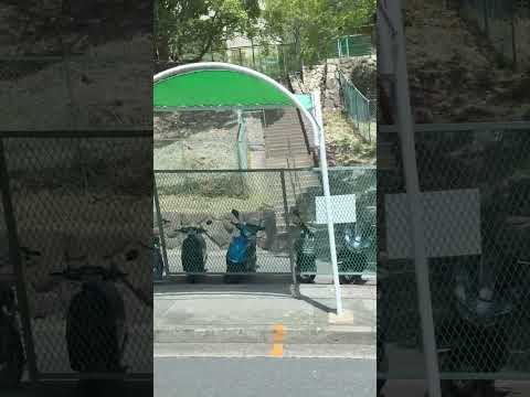 See Kobe U -  バス / Bus
