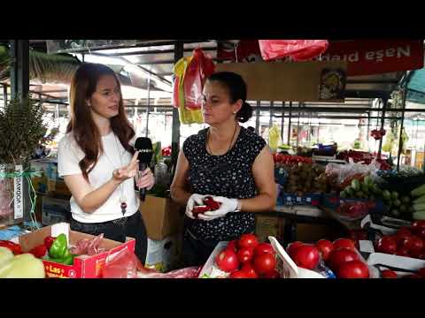 Ceger ep. 1084 22.08.2022.