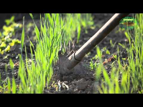 Walkthrough Walkthrough