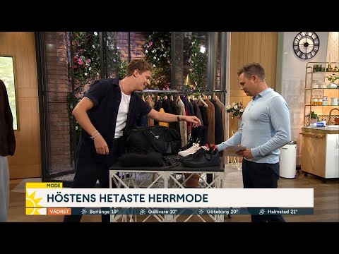 ”Portföljen har fått hamna i garderoben” - Nyhetsmorgon (TV4)