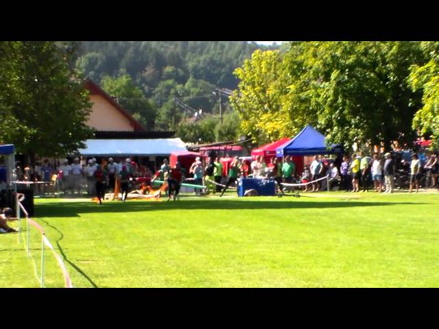 Salaš, 29. 08. 2015