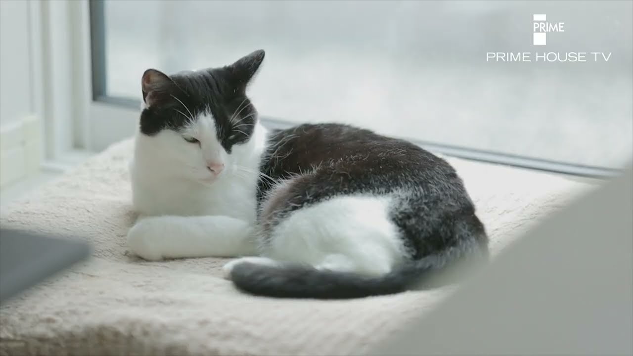 Vol.140『“買ってよかった!”プロ厳選の分譲住宅2』