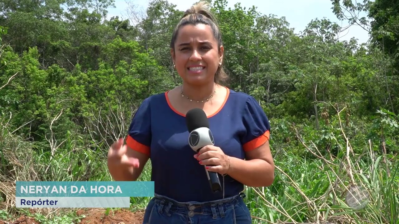 PERÍODO DE INTENSO CALOR PODE CAUSAR RISCOS DE INCÊNDIOS FLORESTAIS