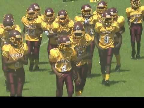 Jordan Cash Superstar