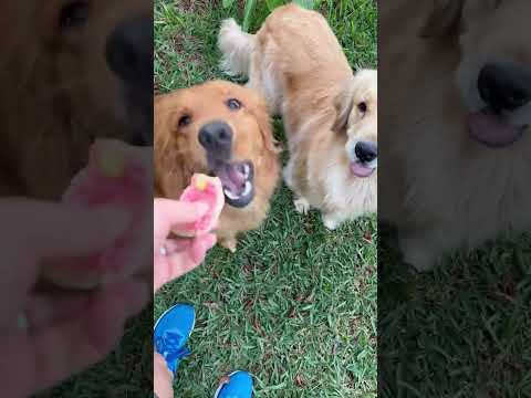 Daily snaps 2/21-22/26