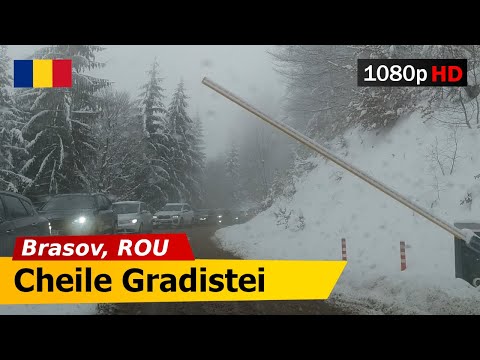 🔴 Romania •  Winter in Cheile Gradistei • Brasov