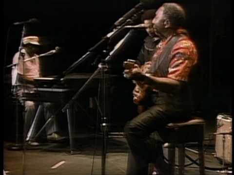 Muddy Waters - You Don't Have to Go - ChicagoFest 1981