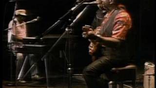 Muddy Waters - You Don't Have to Go - ChicagoFest 1981