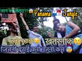 USA 🇺🇸 Donkey Panama 🇵🇦 Jungle Part 01 | पनामा जंगल में क्या है??। Ful