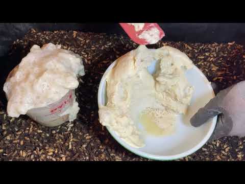 UPDATE PART 6 - Secret Ingredient ADDED to My DIY Indoor Table Top Pre-Composting Bin!!