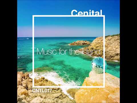 Hyman Bass  -  Counterfeit Sky (Original Mix)