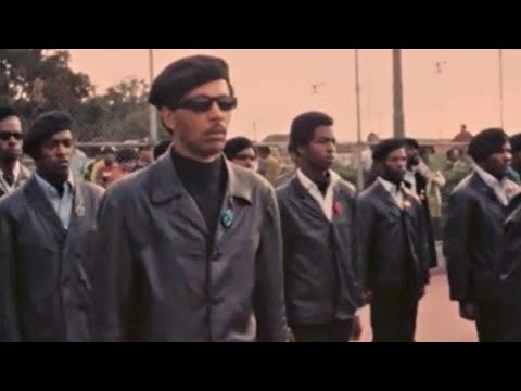 The Vejtables - Hide Yourself