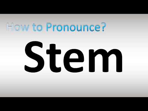 How to Pronounce Stem