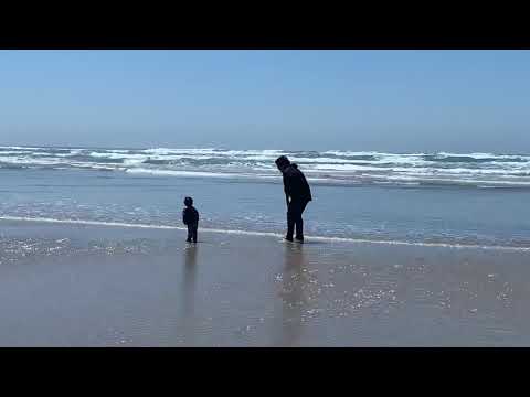 Hriday Newport Beach II