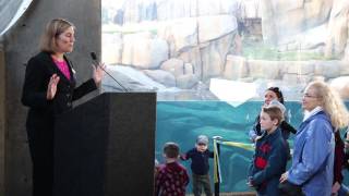 Polar Bear Exhibit Now Open at Lincoln Park Zoo